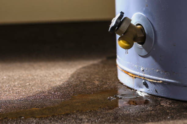 Best Local water damage restoration  in Random Lake, WI