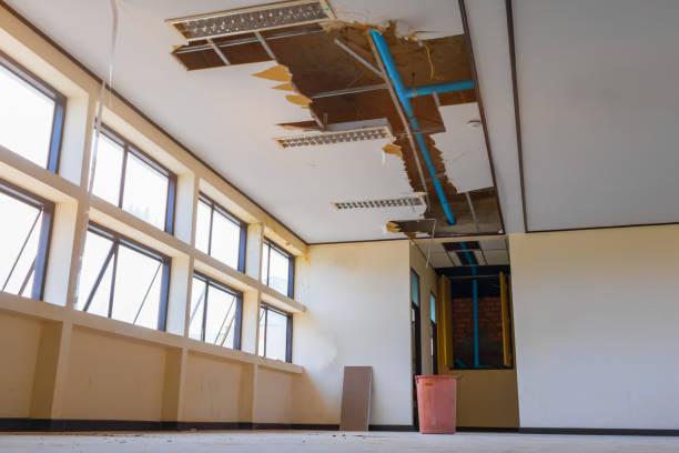 Best Basement water damage restoration  in Random Lake, WI