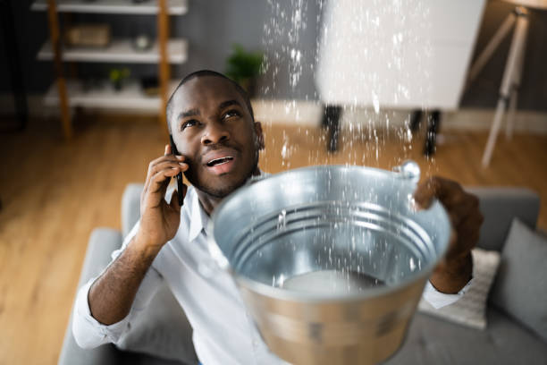 Best Water damage mitigation services  in Random Lake, WI
