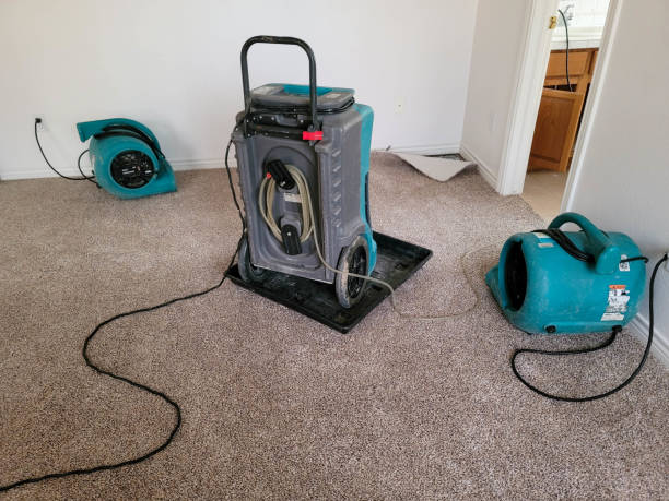 Best Flood damage cleanup  in Random Lake, WI