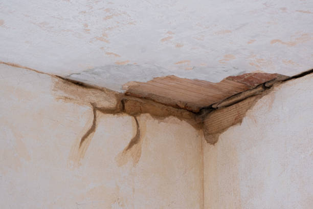 Best Emergency water damage restoration  in Random Lake, WI