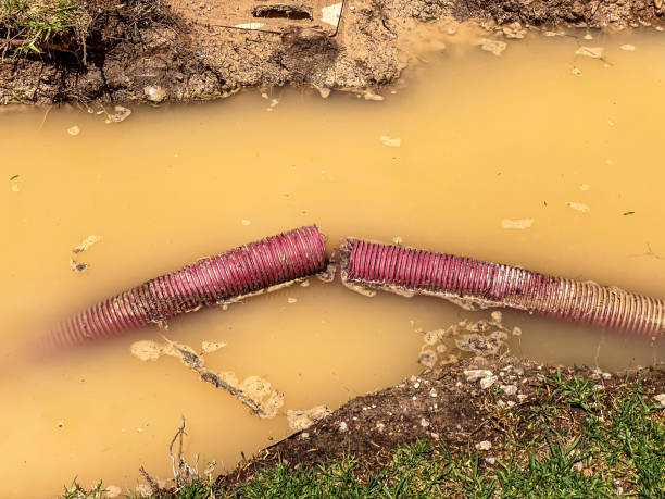 Best Professional water damage repair  in Random Lake, WI